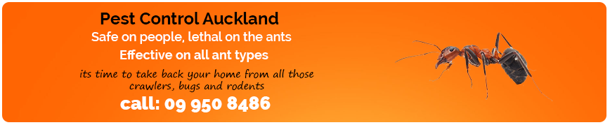 ant-control-services-auckland