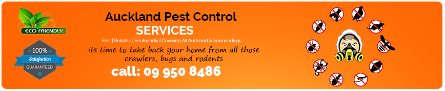 auckland-pest-control-services